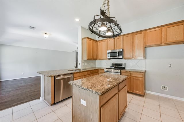 13203 Yaupon Holly Lane, Houston, TX 77044