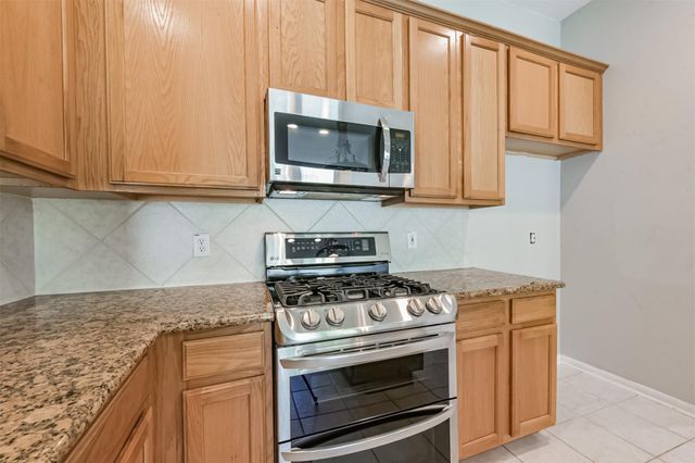 13203 Yaupon Holly Lane, Houston, TX 77044