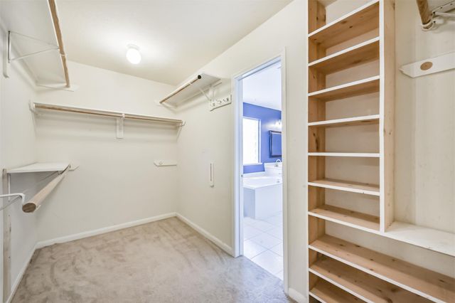 13203 Yaupon Holly Lane, Houston, TX 77044