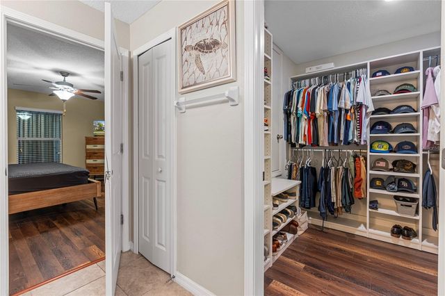 17110 WHITE MANGROVE DRIVE, Wimauma, FL 33598