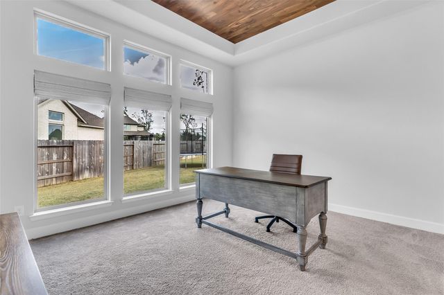 220 Nirnroot Court, Montgomery, TX 77316