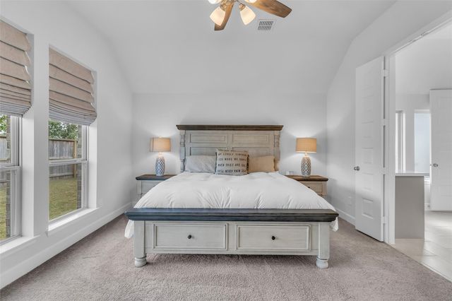 220 Nirnroot Court, Montgomery, TX 77316