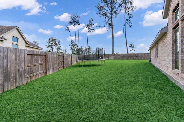 220 Nirnroot Court, Montgomery, TX 77316