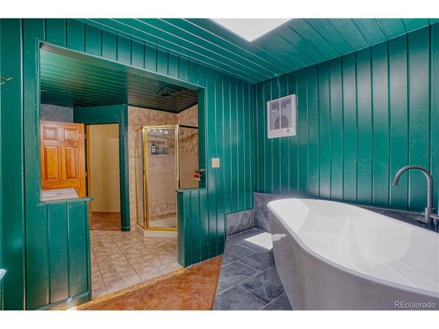 96 Ponderosa Dr, Nederland, CO 80466