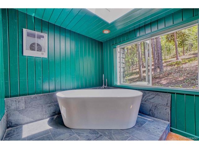 96 Ponderosa Dr, Nederland, CO 80466