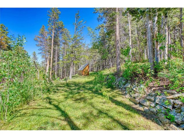 96 Ponderosa Dr, Nederland, CO 80466