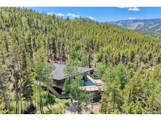 96 Ponderosa Dr, Nederland, CO 80466