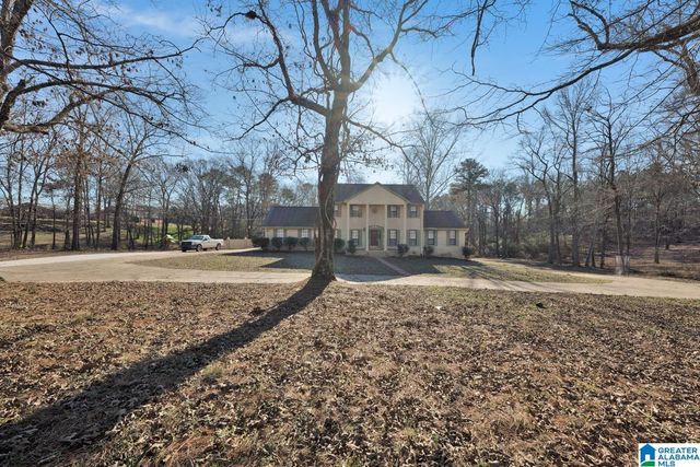 4634 WARRIOR JASPER ROAD, Dora, AL 35062