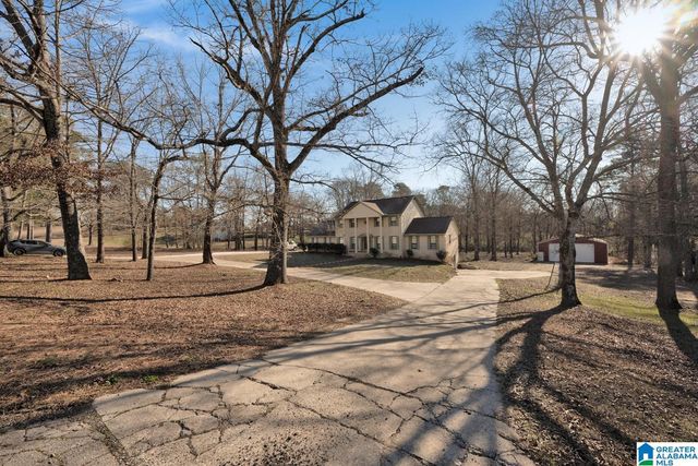 4634 WARRIOR JASPER ROAD, Dora, AL 35062