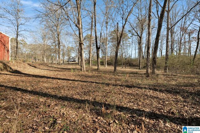 4634 WARRIOR JASPER ROAD, Dora, AL 35062