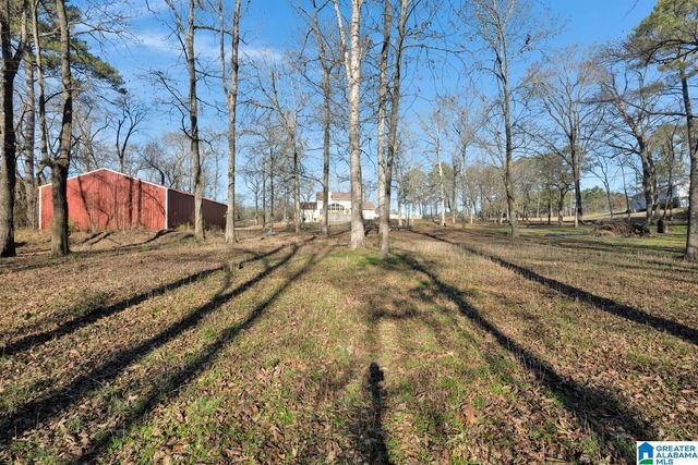 4634 WARRIOR JASPER ROAD, Dora, AL 35062