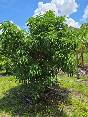 501 Wildwood AVE, Clewiston, FL 33440