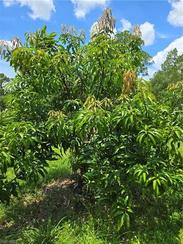 501 Wildwood AVE, Clewiston, FL 33440