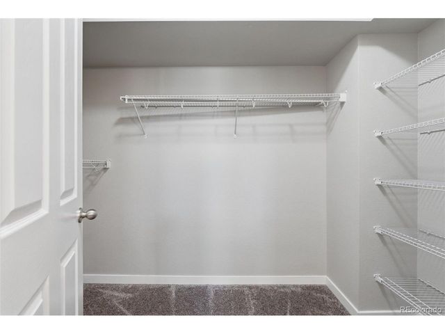 8343 Rivulet Pt, Highlands Ranch, CO 80129