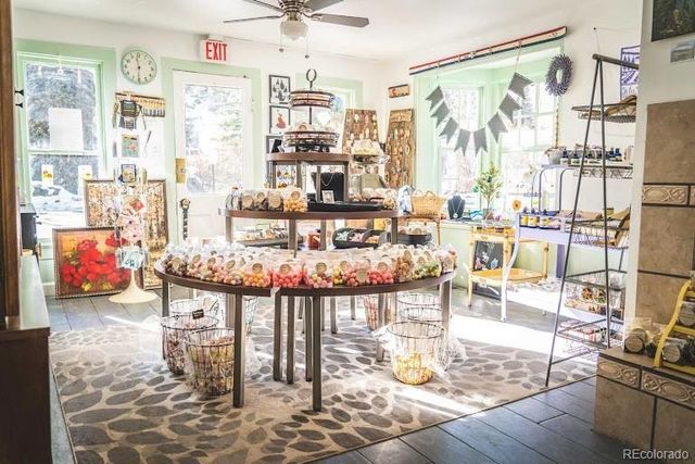 710 6th Street, Georgetown, CO 80444