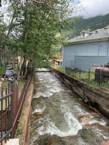 710 6th Street, Georgetown, CO 80444