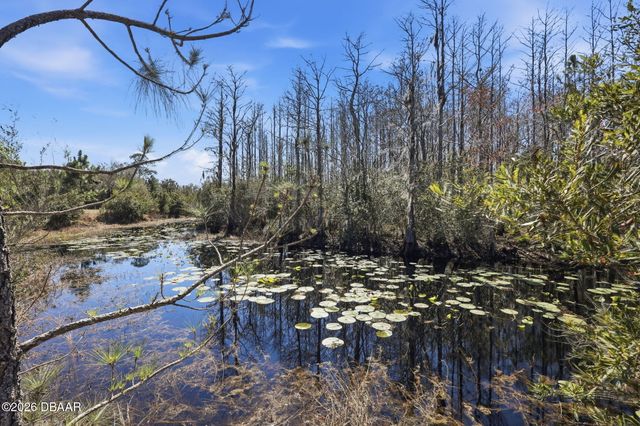 4503 Colony Road, New Smyrna Beach, FL 32168