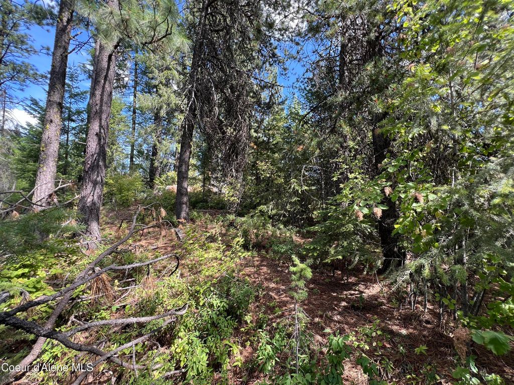 1425 Upriver View Dr, Fernwood, ID 83830 photo 10