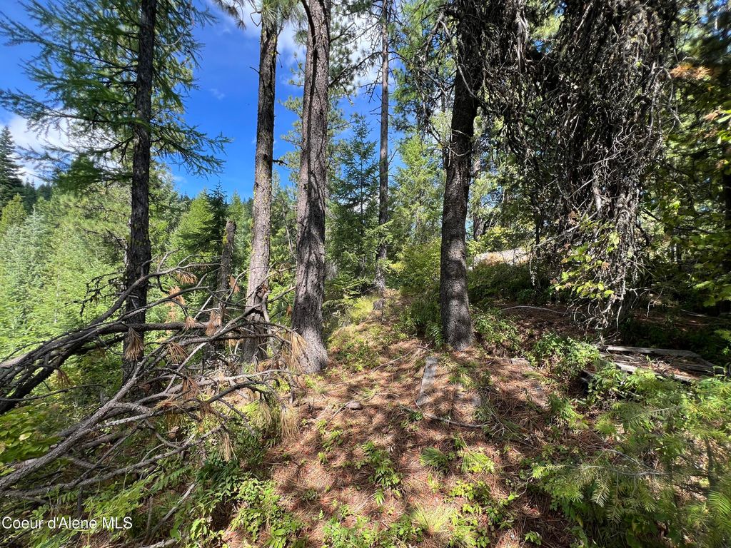 1425 Upriver View Dr, Fernwood, ID 83830 photo 11