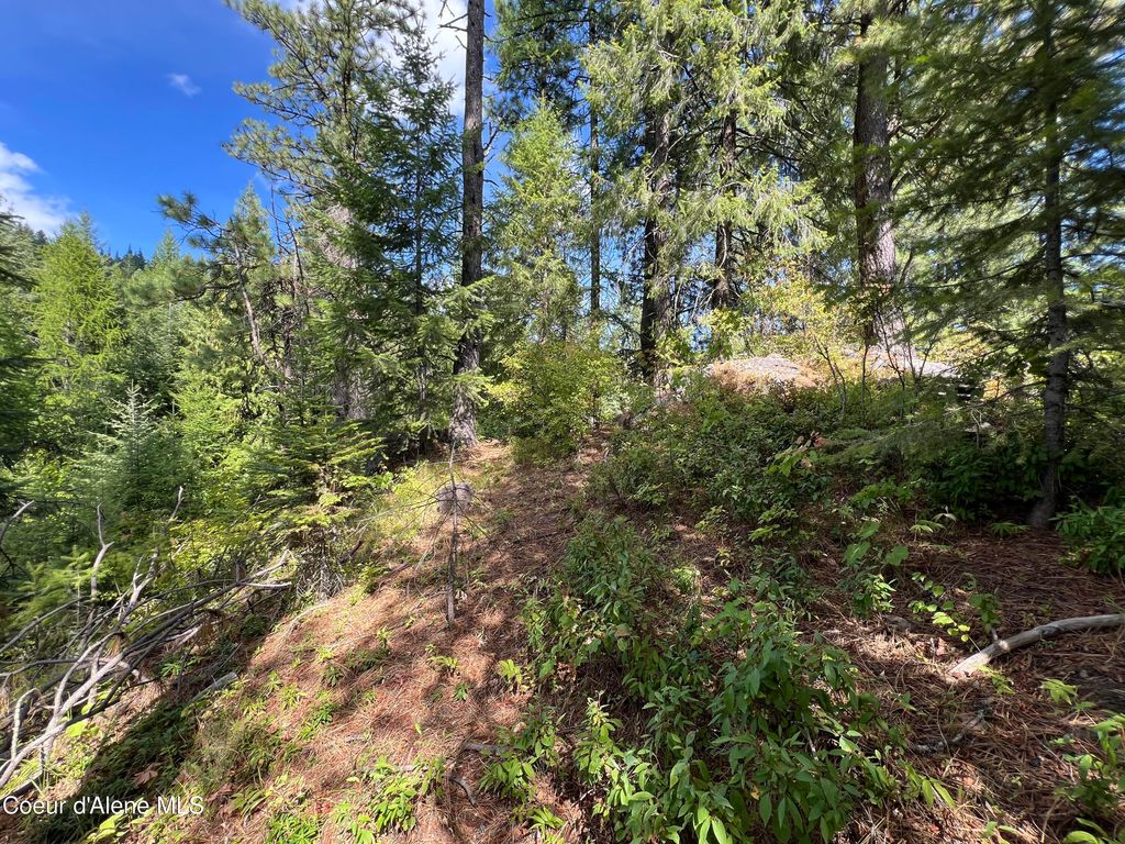 1425 Upriver View Dr, Fernwood, ID 83830 photo 12