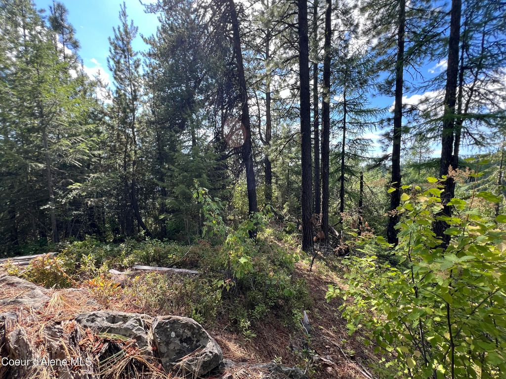 1425 Upriver View Dr, Fernwood, ID 83830 photo 13