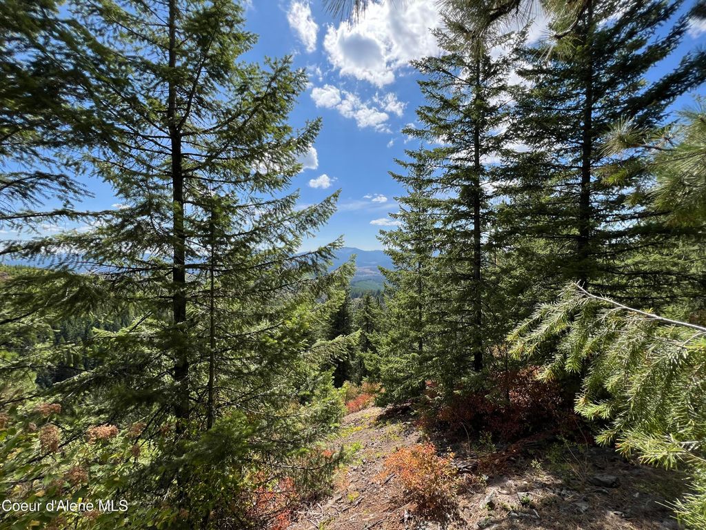 1425 Upriver View Dr, Fernwood, ID 83830 photo 2