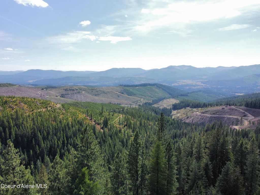 1425 Upriver View Dr, Fernwood, ID 83830 photo 3