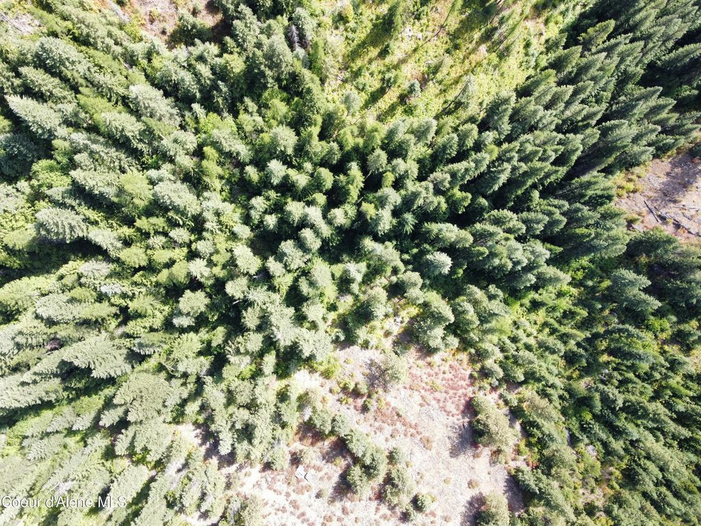 1425 Upriver View Dr, Fernwood, ID 83830 photo 5