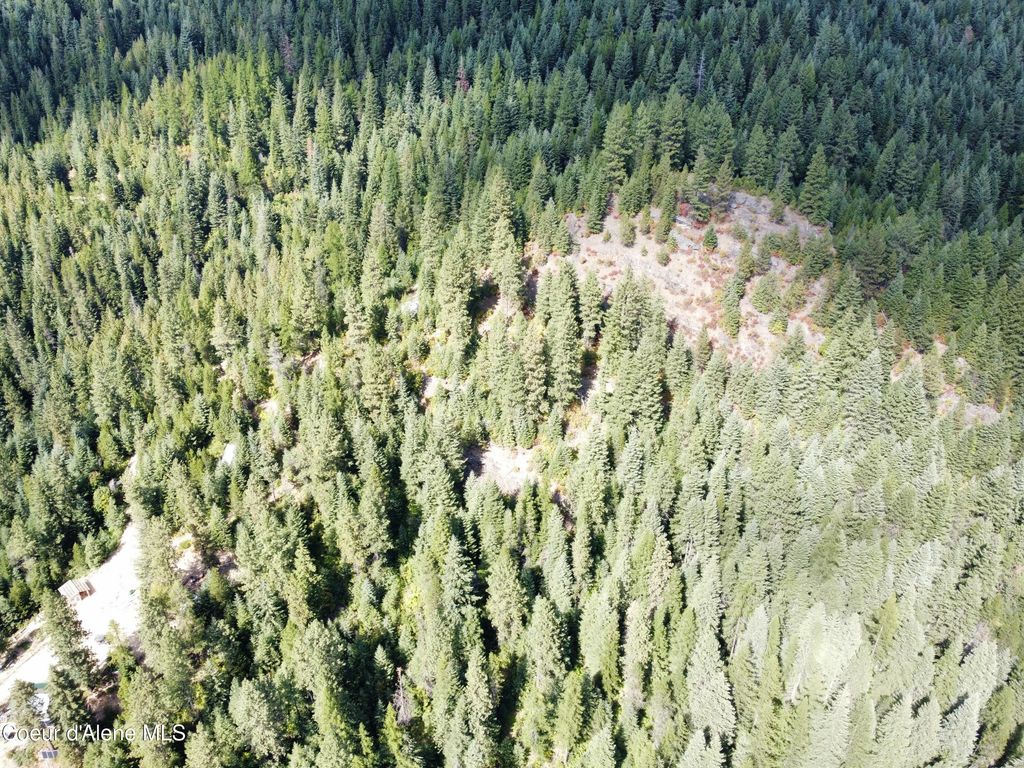 1425 Upriver View Dr, Fernwood, ID 83830 photo 6