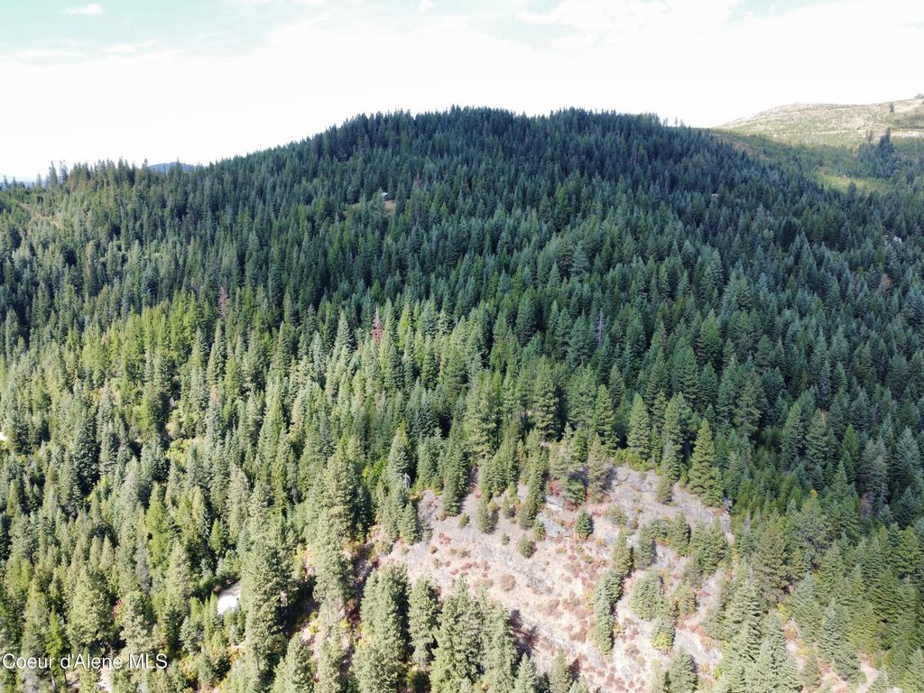 1425 Upriver View Dr, Fernwood, ID 83830 photo 7