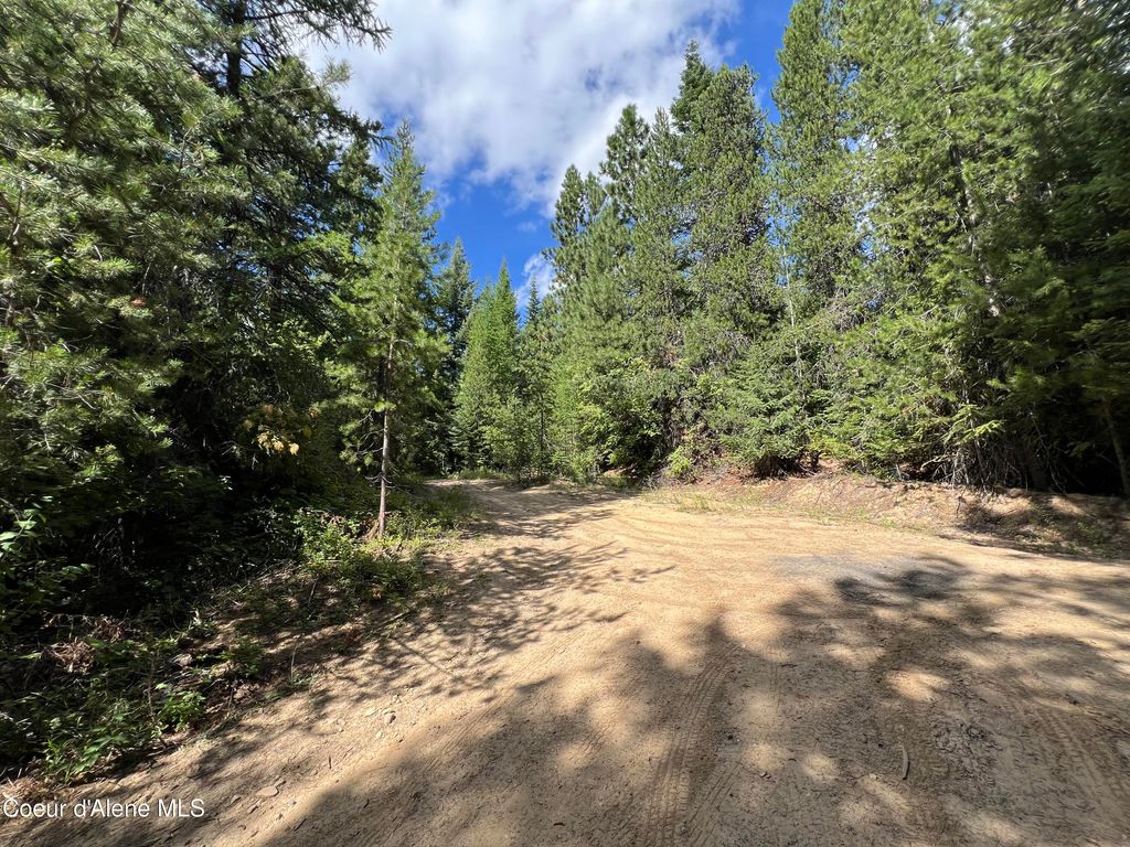 1425 Upriver View Dr, Fernwood, ID 83830 photo 8