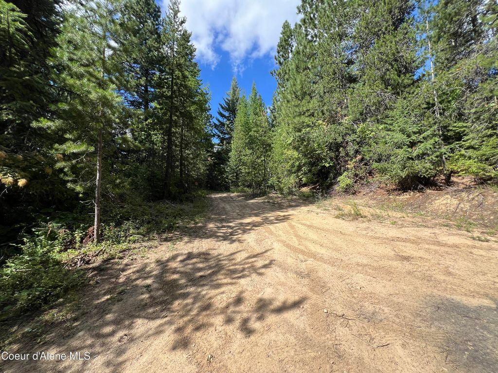 1425 Upriver View Dr, Fernwood, ID 83830 photo 9