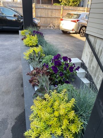 36 Hall St 1, Boston, MA 02130