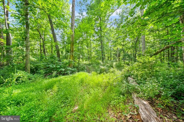 4020 MILLWOOD RD, Boyce, VA 22620