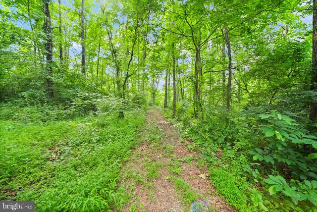 4020 MILLWOOD RD, Boyce, VA 22620