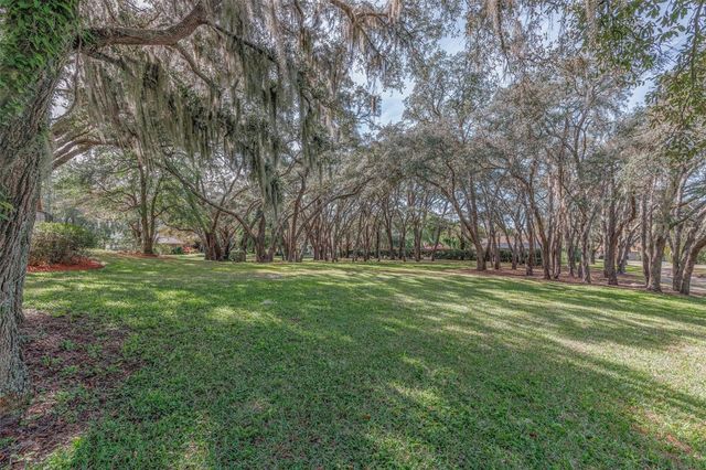 115 E IRELAND COURT, Hernando, FL 34442