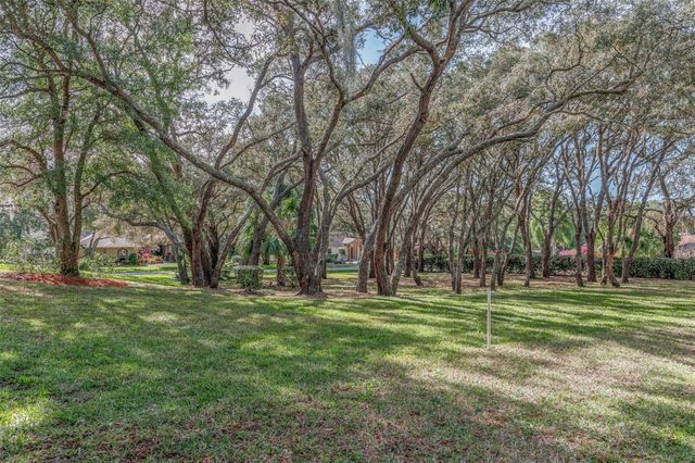 115 E IRELAND COURT, Hernando, FL 34442