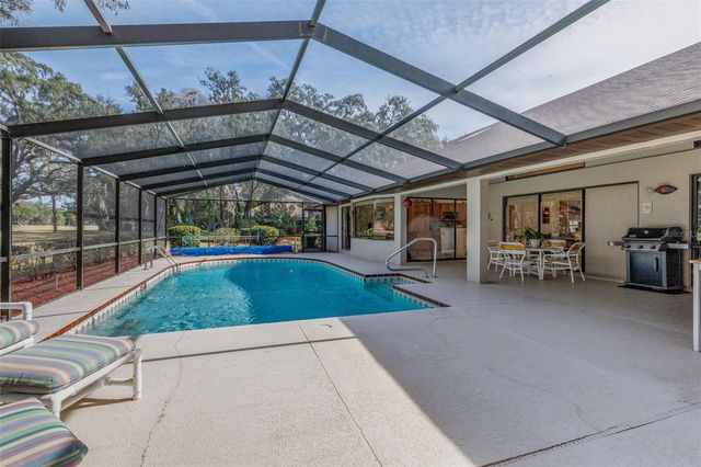 115 E IRELAND COURT, Hernando, FL 34442