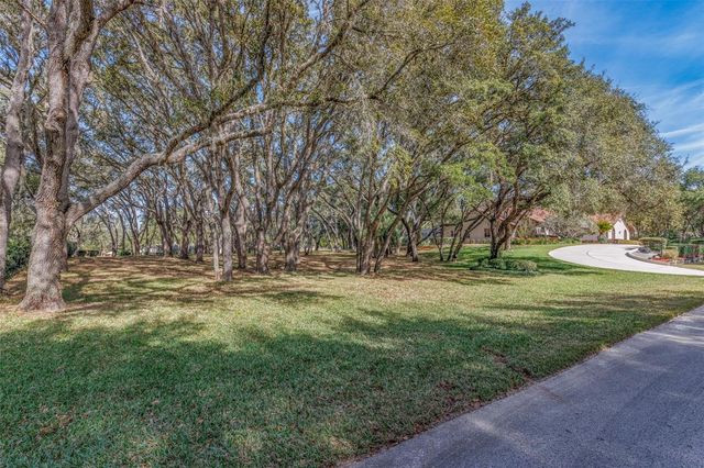 115 E IRELAND COURT, Hernando, FL 34442