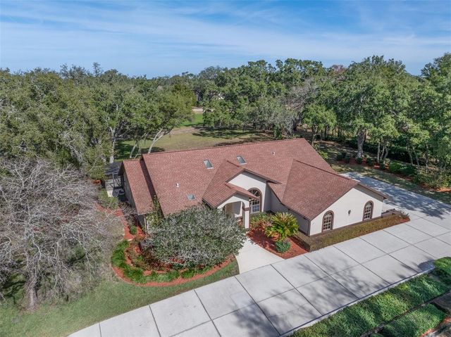 115 E IRELAND COURT, Hernando, FL 34442