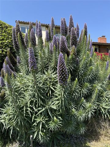 2000 Vista Cajon, Newport Beach, CA 92660