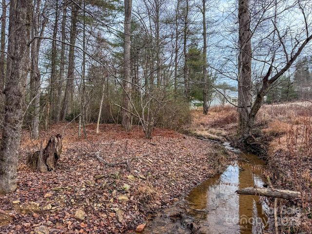 62 Crystal Cove Drive 4, Hendersonville, NC 28739