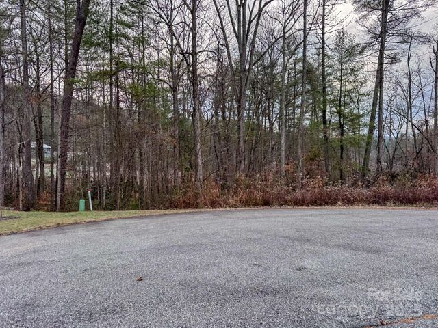62 Crystal Cove Drive 4, Hendersonville, NC 28739