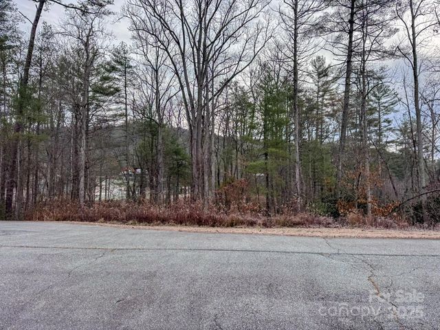 62 Crystal Cove Drive 4, Hendersonville, NC 28739