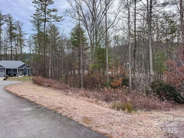 62 Crystal Cove Drive 4, Hendersonville, NC 28739