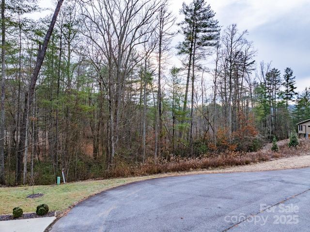 62 Crystal Cove Drive 4, Hendersonville, NC 28739