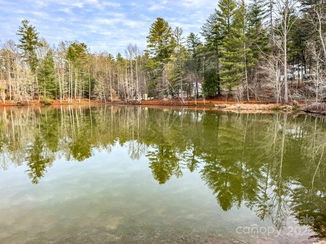 62 Crystal Cove Drive 4, Hendersonville, NC 28739