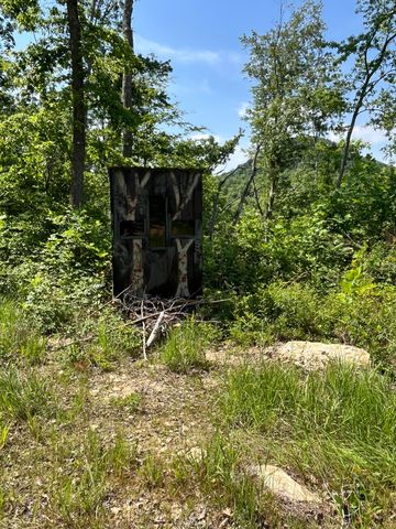 1658 Dry Hollow Road, Monticello, KY 42633