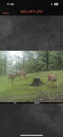 1658 Dry Hollow Road, Monticello, KY 42633