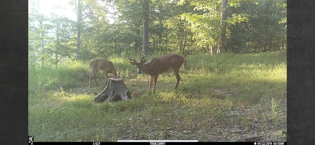 1658 Dry Hollow Road, Monticello, KY 42633